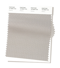 PANTONE 16-0000.jpg